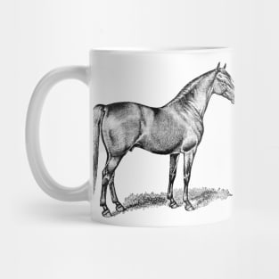 Horse Vintage Black & White Illustration Mug